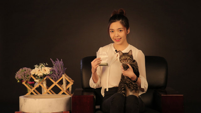 猫点饭 喵星人的饮食文化探索 解锁美食新姿势