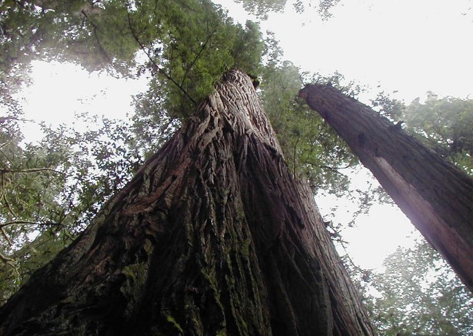 探索资讯新纪元的前沿窗口 网易新闻