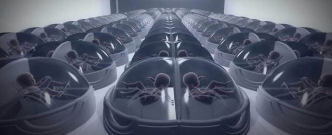 人造子宫技术迈出关键一步，但背后的伦理挑战令人深思