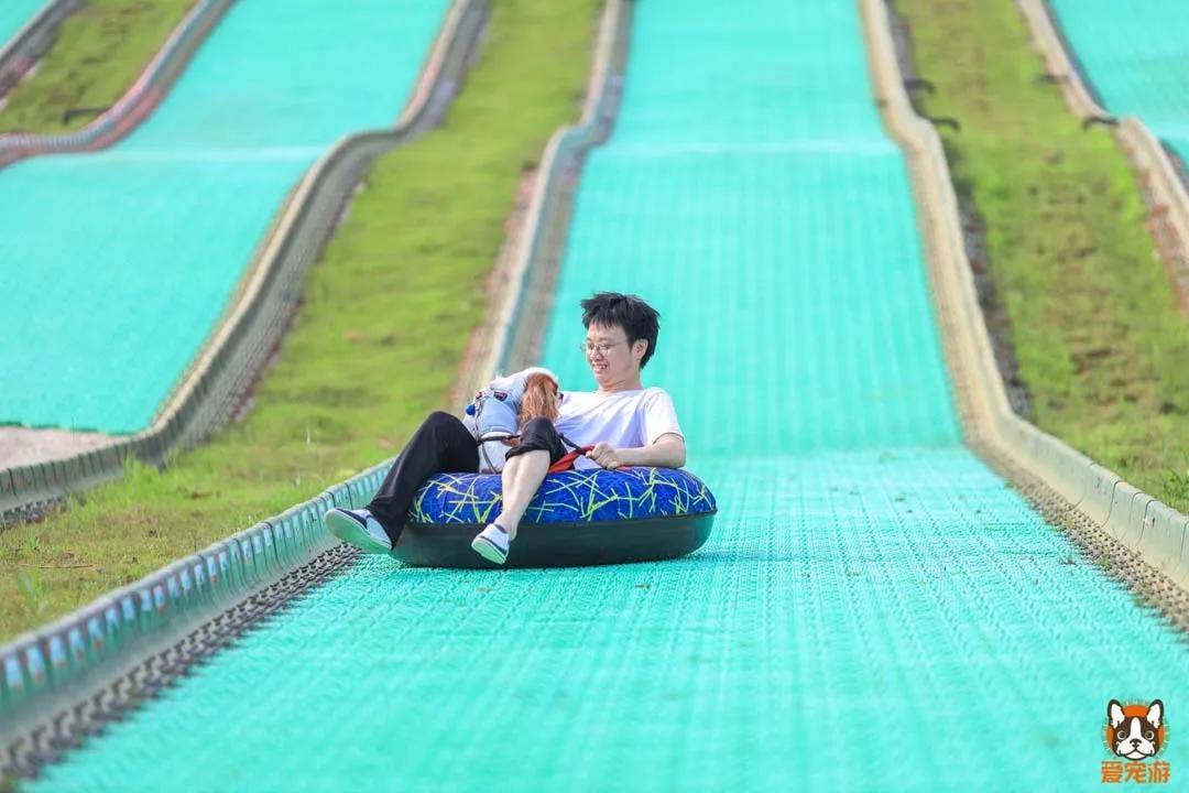 某地蓝眼泪荧光海现象首次被目击