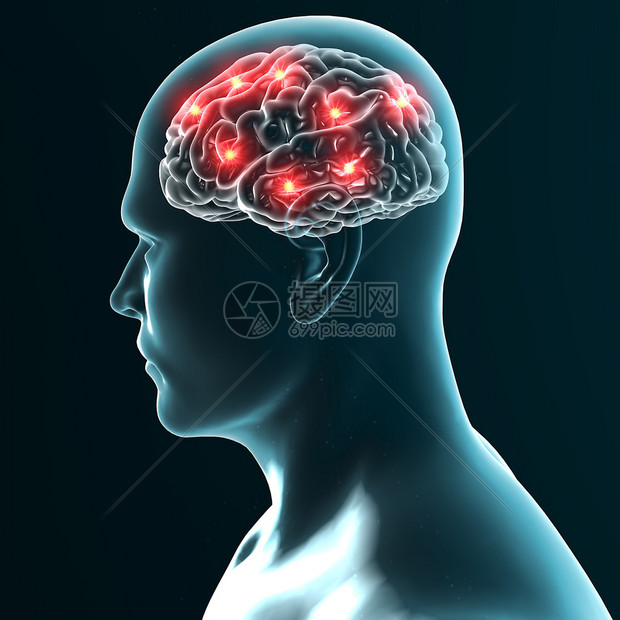 脑科学最新突破：揭示记忆存储与提取背后的神秘机制