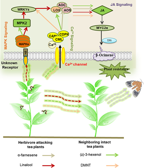 深入解析：素材管理方法论的五大核心要点