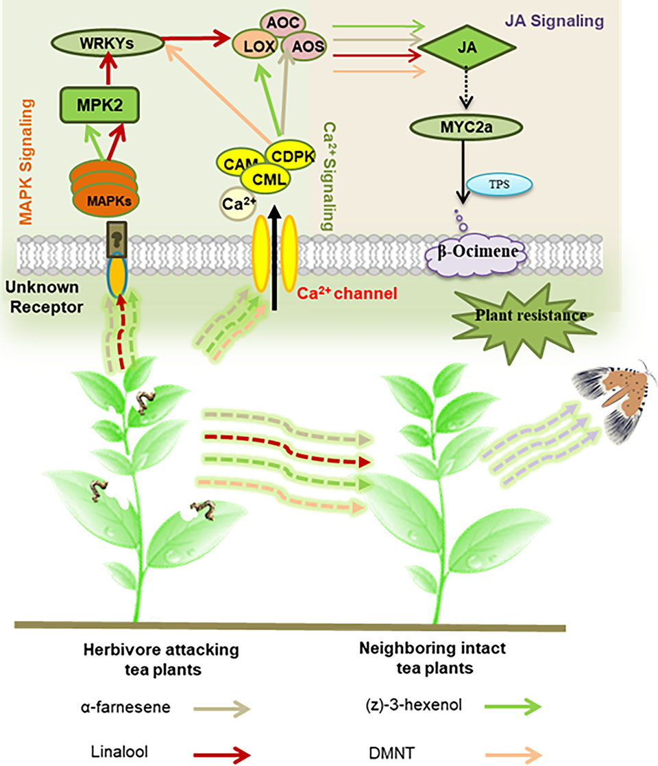 深入解析：素材管理方法论的五大核心要点