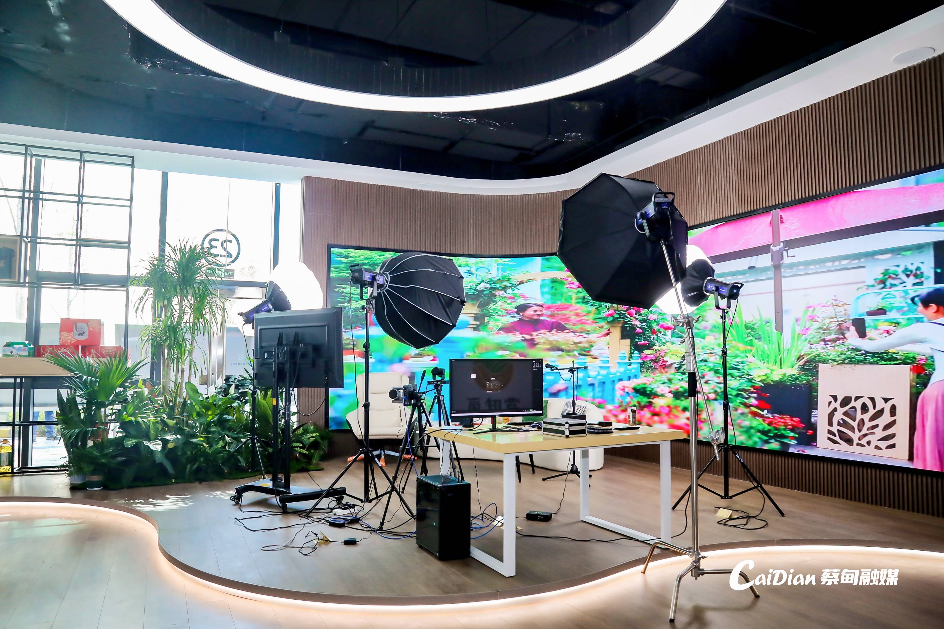 揭秘直播电商选品数据模型：构建高效的供应链体系