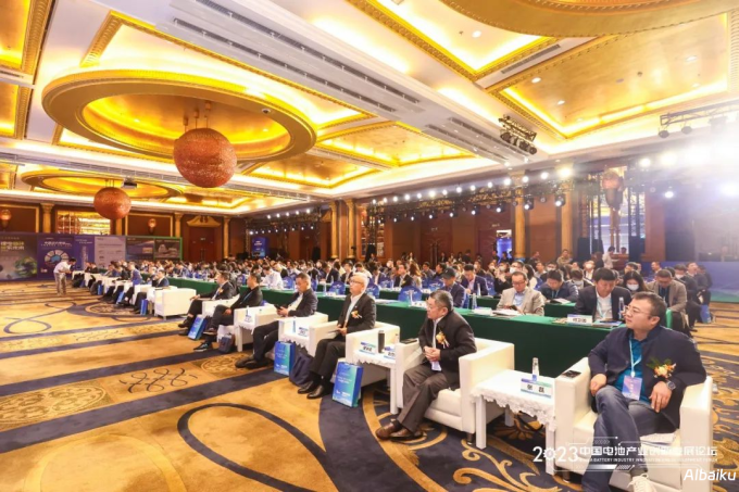 行业峰会盛大召开:各界精英齐聚共谋未来发展