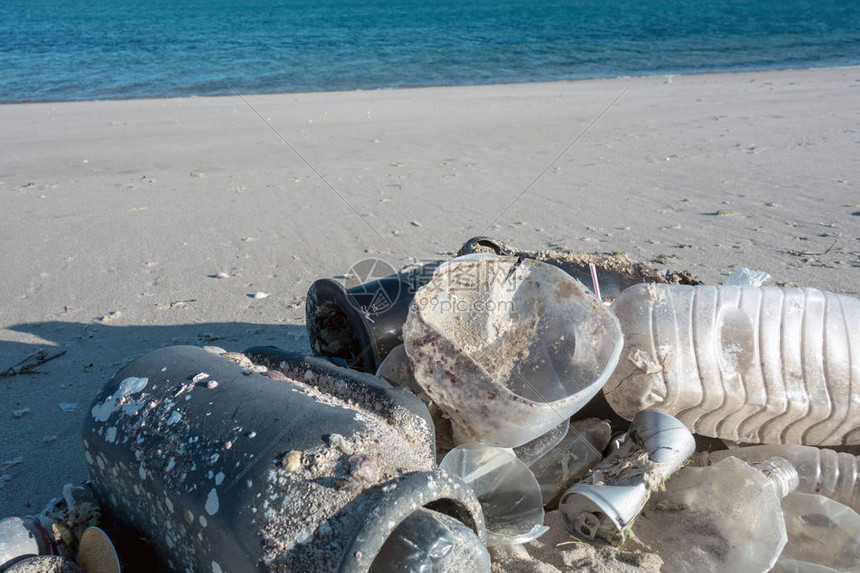 塑料污染克星现形：海洋清洁机器人的崛起之路