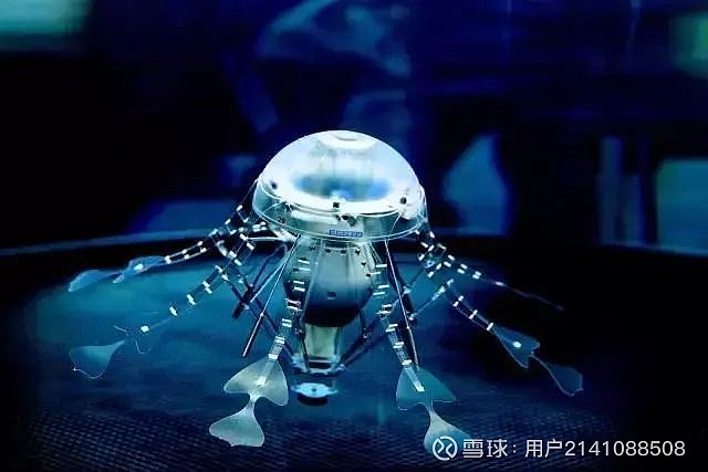 仿生学科技：探索自然界智慧对工程领域的深远影响