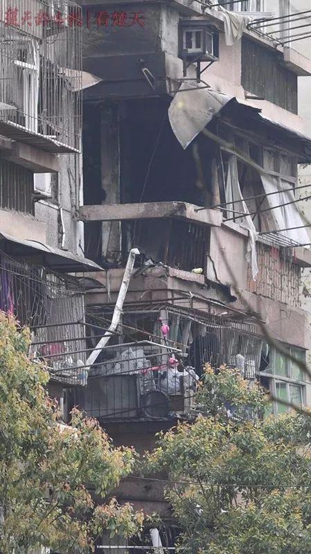 居民区突发！野生大熊猫不请自来，当地如何应对？