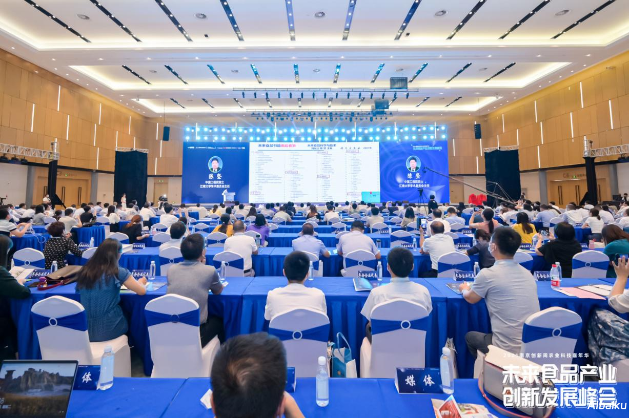 参与行业峰会：把握机遇，共享智慧碰撞的盛宴