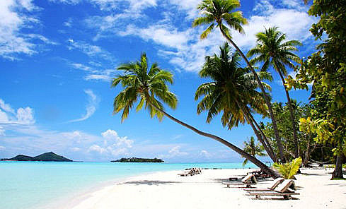 波利尼西亚文化在海洋奇缘2中的精彩演绎与文化意义