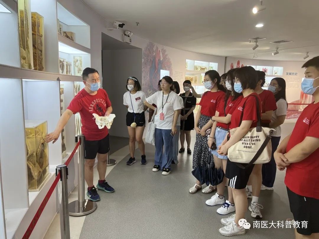 探索记忆奥秘:脑科学解码记忆存储与提取的关键环节