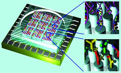 生物芯片崛起：引领未来医疗检测新标准