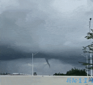 某地惊现蓝眼泪：荧光海闪烁梦幻蓝光奇景