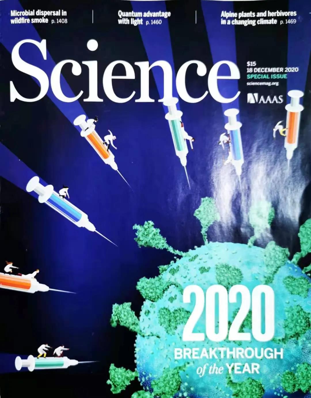 突破性进展：人造子宫技术能否改变未来生育方式？伦理争议不断升级