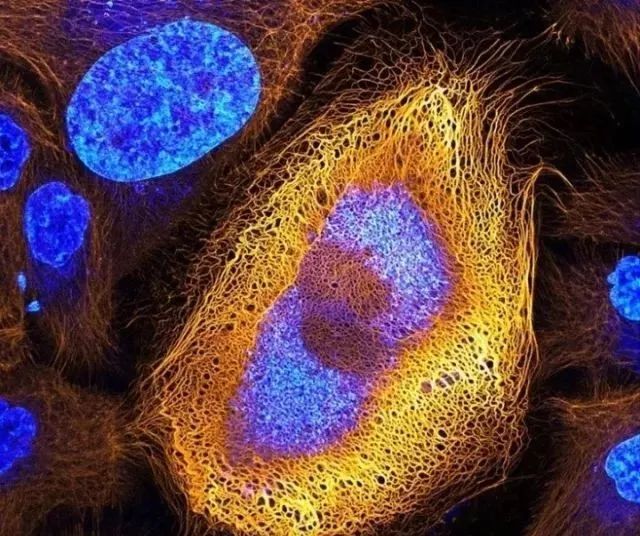 探索微观宇宙的奥秘：《蚁人4》中量子领域的科学理论依据