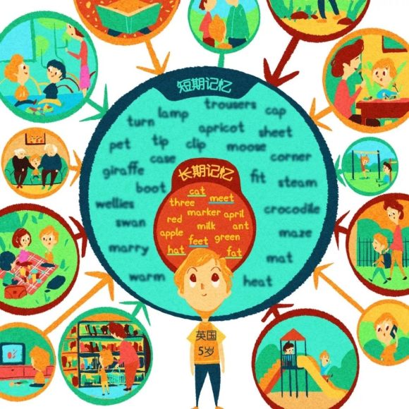 深入了解拼多多场景推广中的出价技巧与优化方法