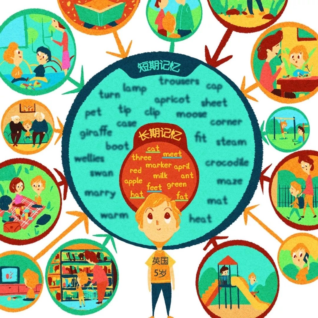 深入了解拼多多场景推广中的出价技巧与优化方法